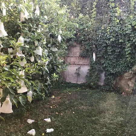 Casa Del Frances